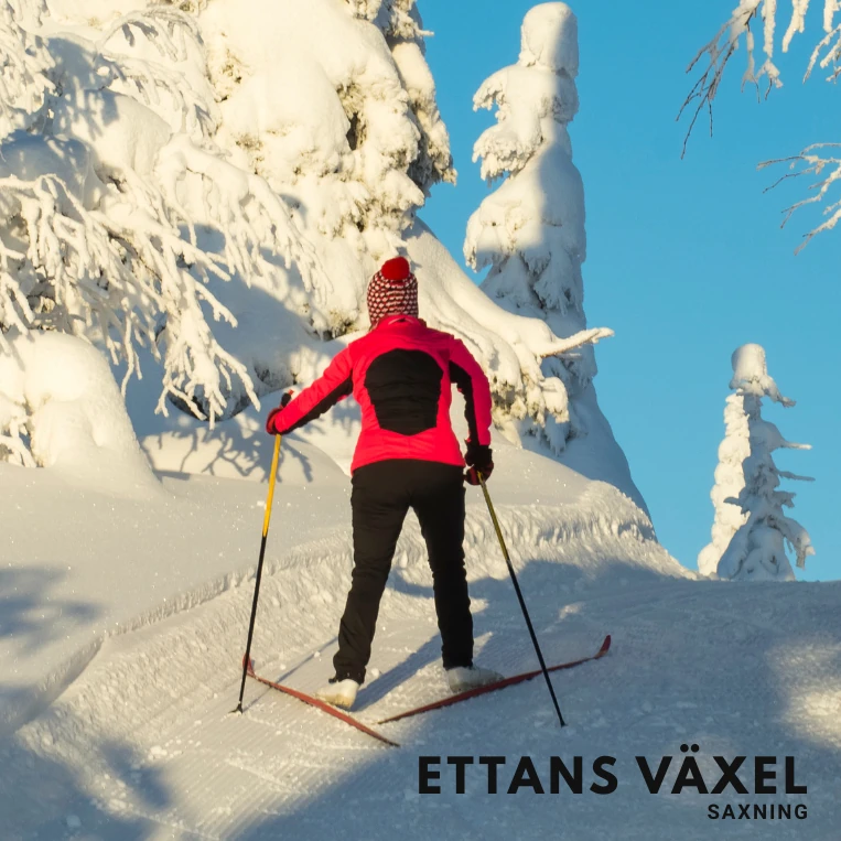 Ettans växel i brant backe, skateteknik