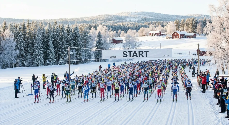 Starten har gått på långloppet, vem har vallat bäst för ett marathon på skidor?